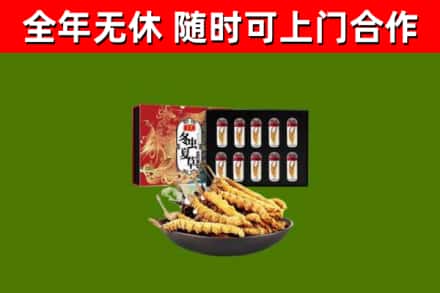 丰台回收冬虫夏草价格